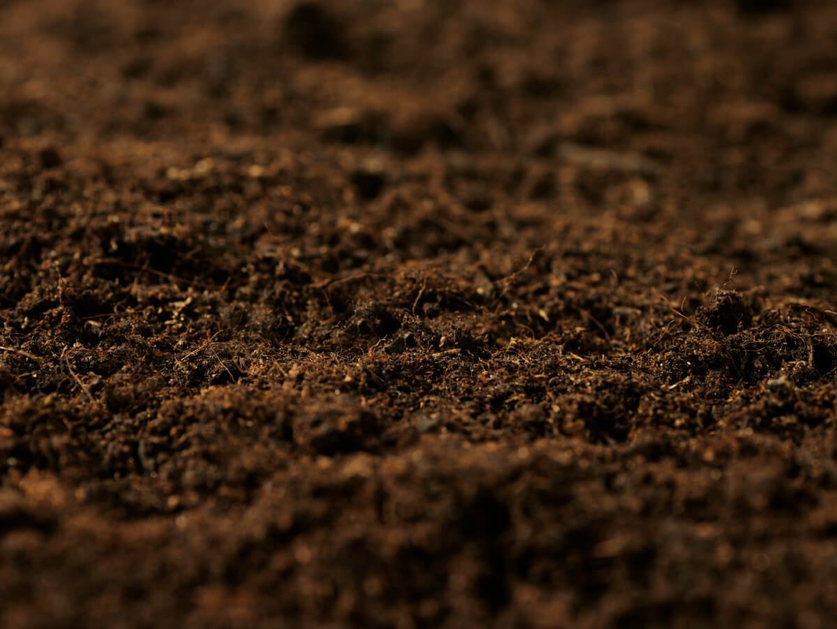 Земля почва