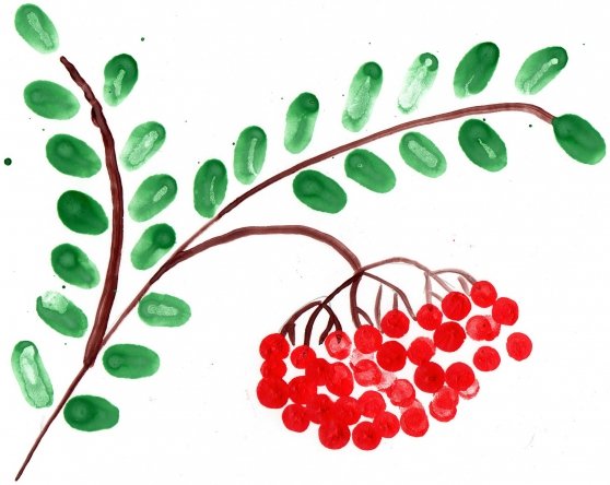 Рисование кисть Рябинки гроздь