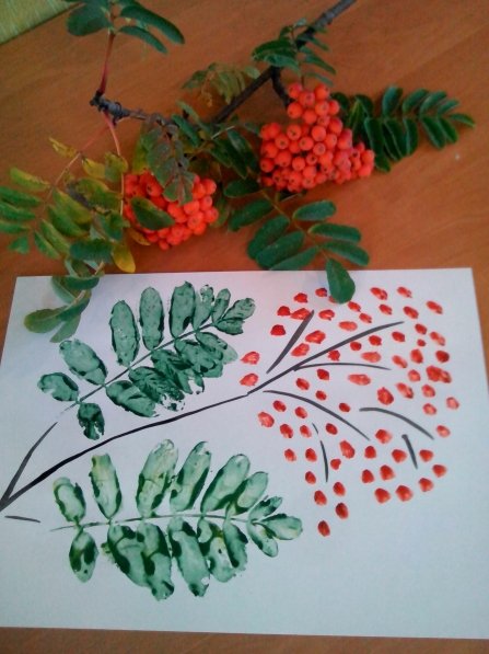 Ветка рябины» (рисование с натуры) (т.с.Комарова, стр.40)