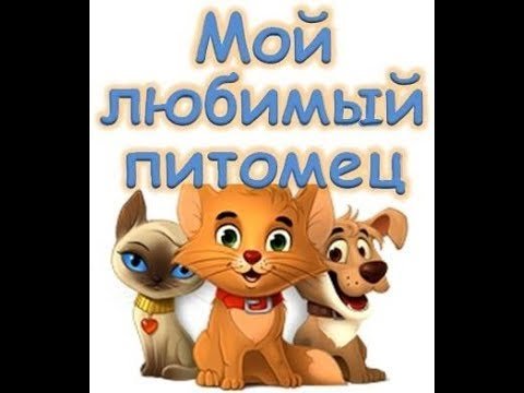 Мои любимые питомцы