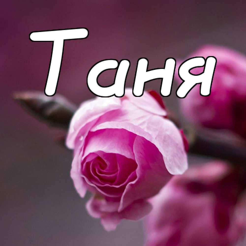 Видео красивое имя. Имя Таня. Надпись Танюша. Картинки с именем Таня. Картинки с именем Танюша.