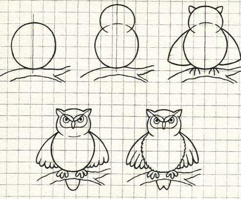 Сова картинки пошагово (50 фото)