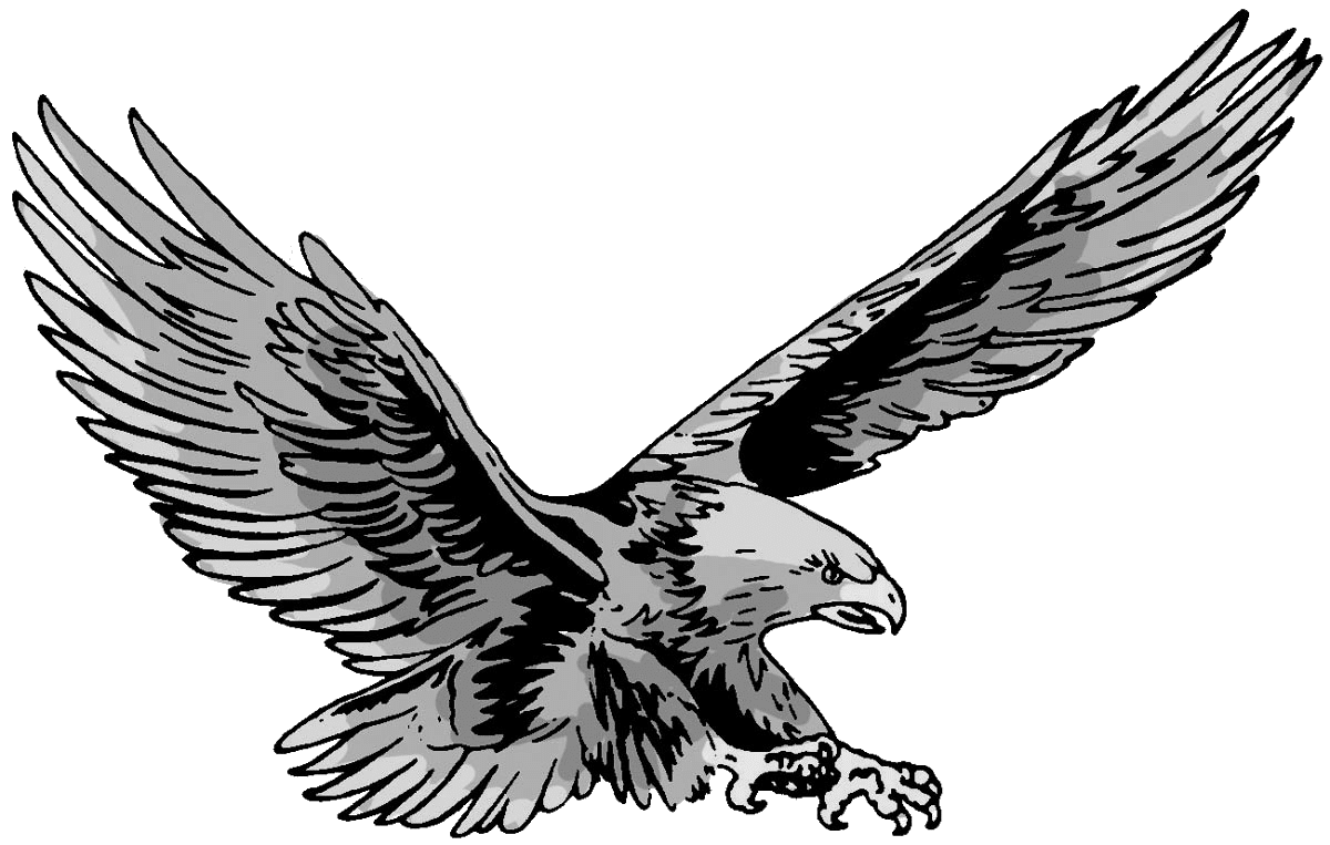 Орел изображение символ. Орел рисунок. Орел вектор. Ястреб герб.