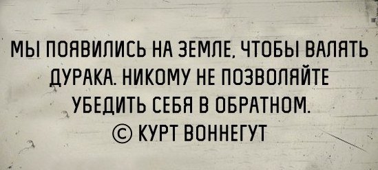 Ленивый кот