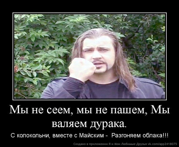 Медведев дурак