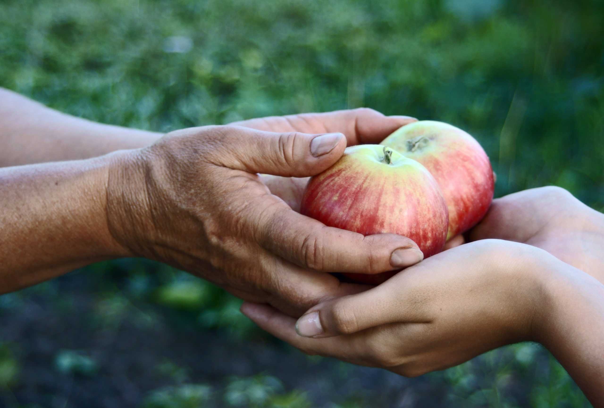 Примеры щедрости души. Щедрость. Щедрый человек. Делится яблоком. Щедрый человек картинка.