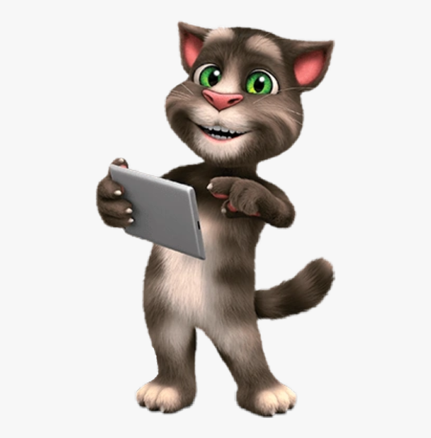 48 48