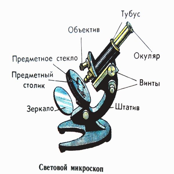 Строение медицинского микроскопа