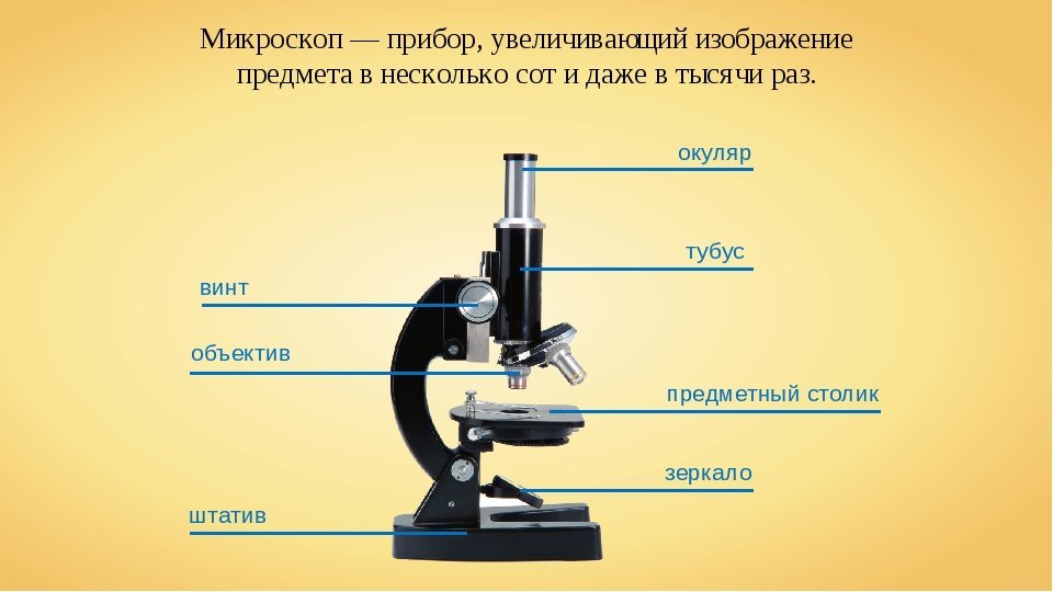 Какую часть выполняет тубус. Строение увеличительных приборов микроскоп. Увеличительные приборы 5 класс биология микроскоп. Строение микроскопа Микромед-1. Цифровой микроскоп строение 5 класс.