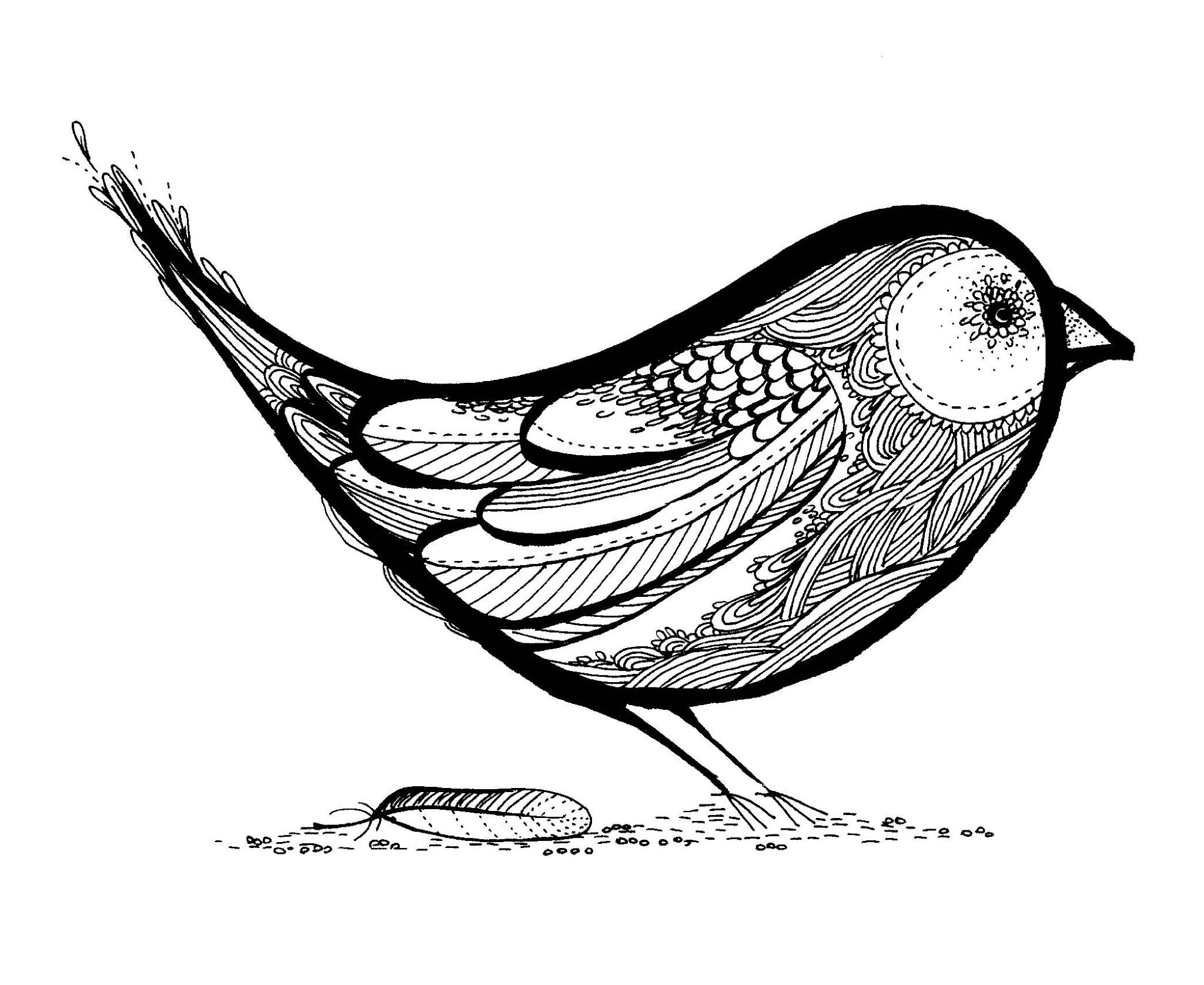 Графические рисунки птиц