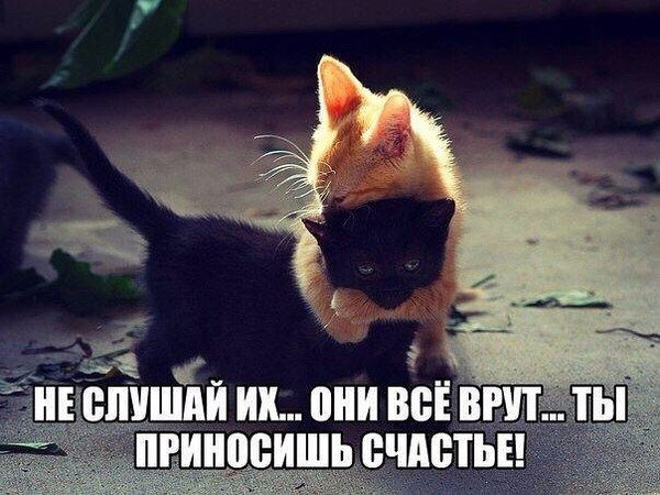 Не верь им ты приносишь счастье