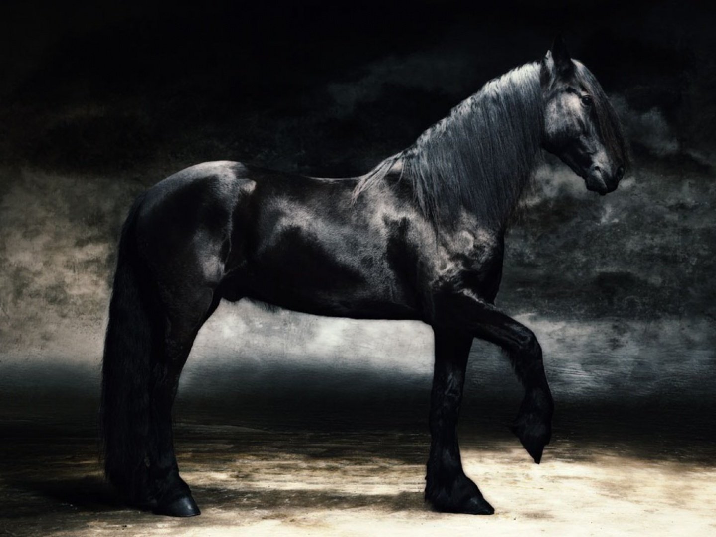 Сонник черная лошадь. Пегая Фризская лошадь. Лошадь породы Мустанг. Фризская лошадь черная Жемчужина. Лошадь породы Мустанг черный.