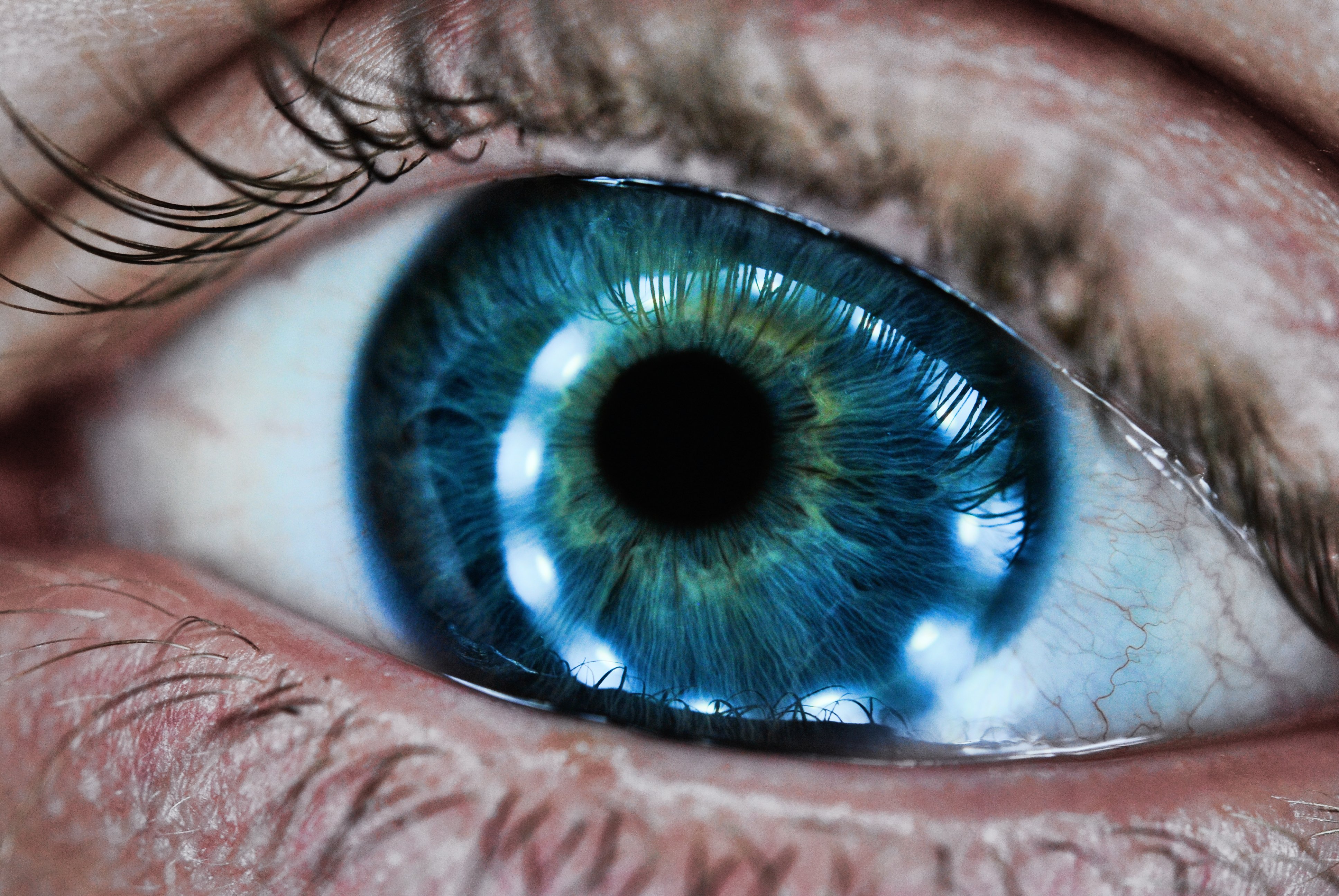 Цвета глаз в природе. Голубые глаза. Серо голубые глаза. Синие глаза. Глаз человека.