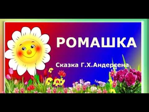 Ромашка андерсен картинки (50 фото)