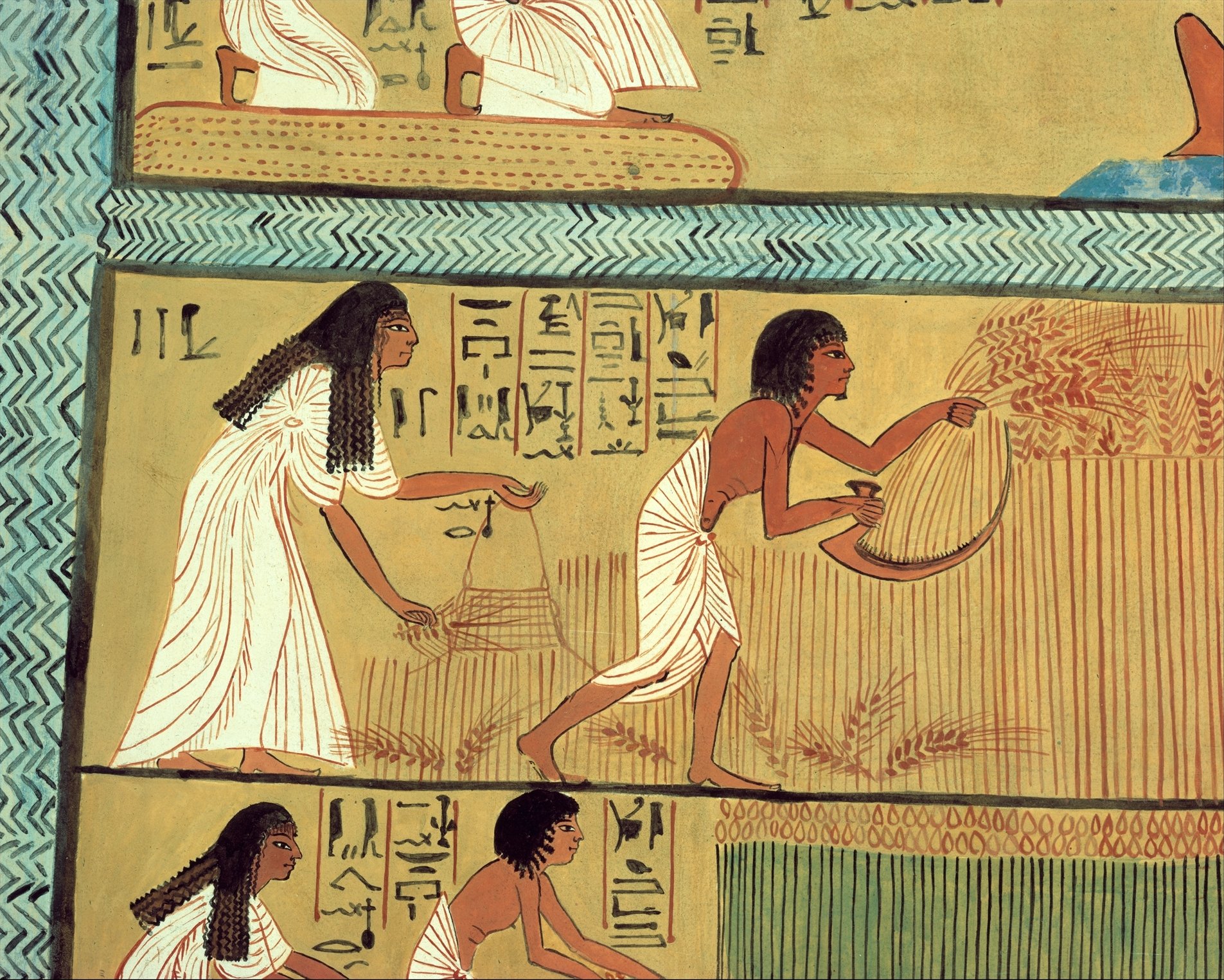 Земледельцы в древнем египте. Египетские фрески земледелие. Земледелие в древнем Египте. Повседневная жизнь египтян фреска. Иллюстрация древний Египет земледелие.