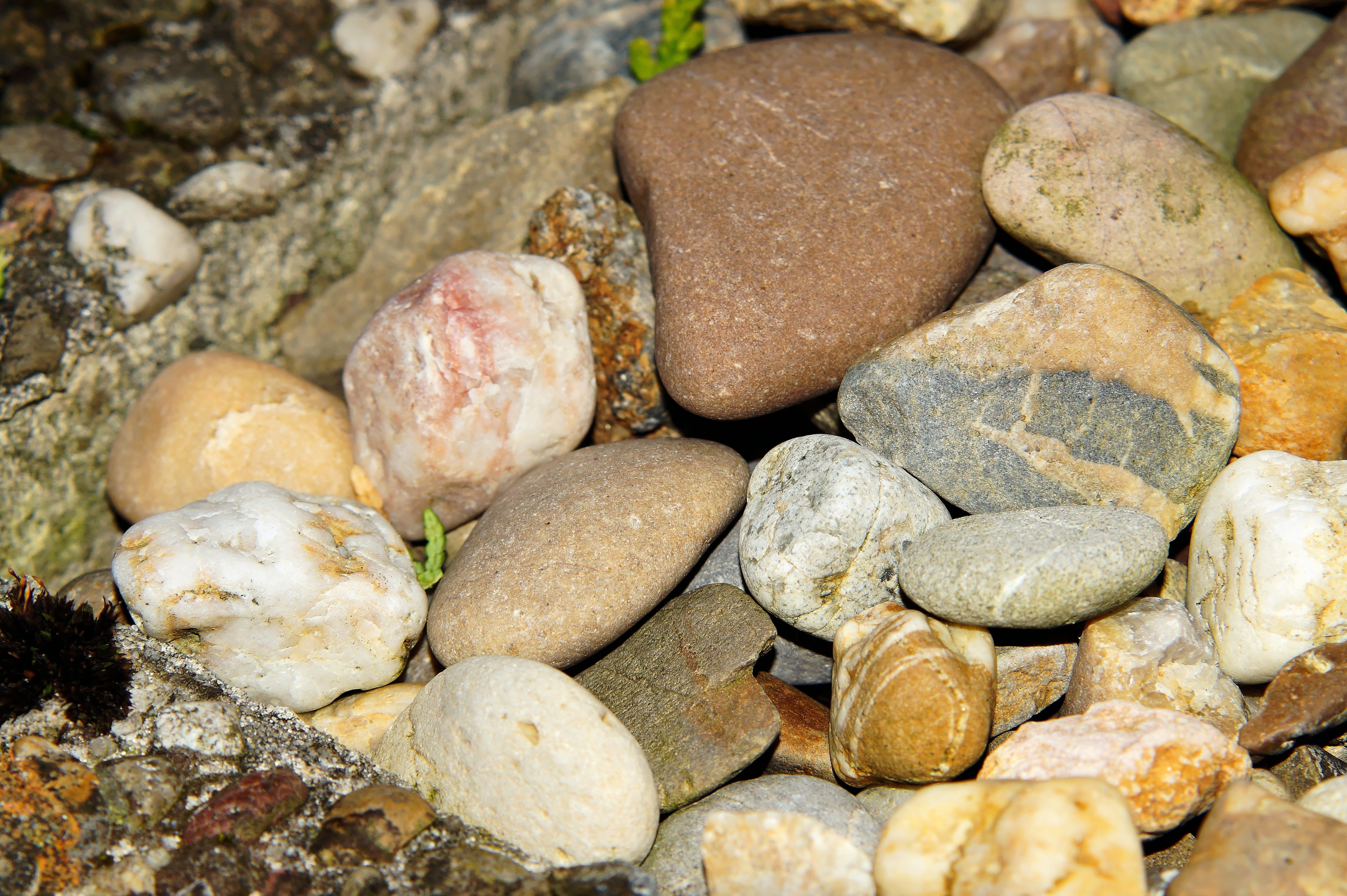 Stone child. Речные камни. Камень обыкновенный. Камень галька. Камни для дошкольников.