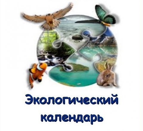 Экологический календарь картинки