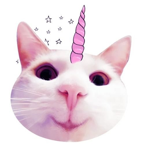 Кот Единорог