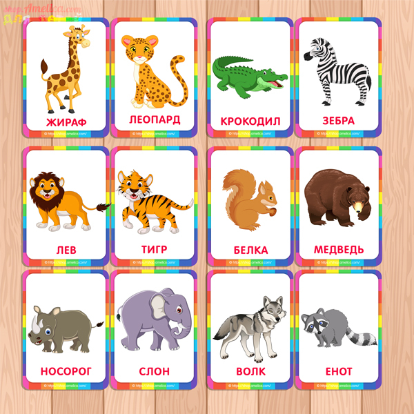 Карточки животные для детей. Карточки с изображением животных для детей. Карточки для детей развивающие. Карточки с картинками для малышей. Животные обучающие для детей