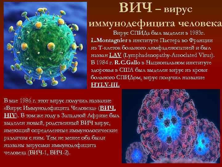 Инфекция вызванная вирусом иммунодефицита человека вич