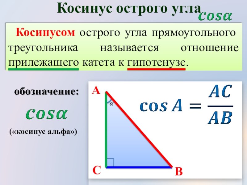 49 49