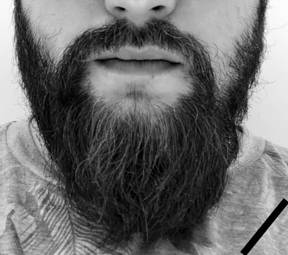 самая красивая борода фото