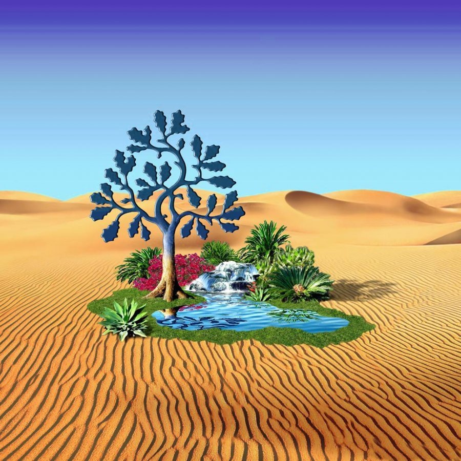 Оазис животные. Оазис в пустыне. Пустыня для детей. Оазис в Африке. Пустыня для дошкольников.