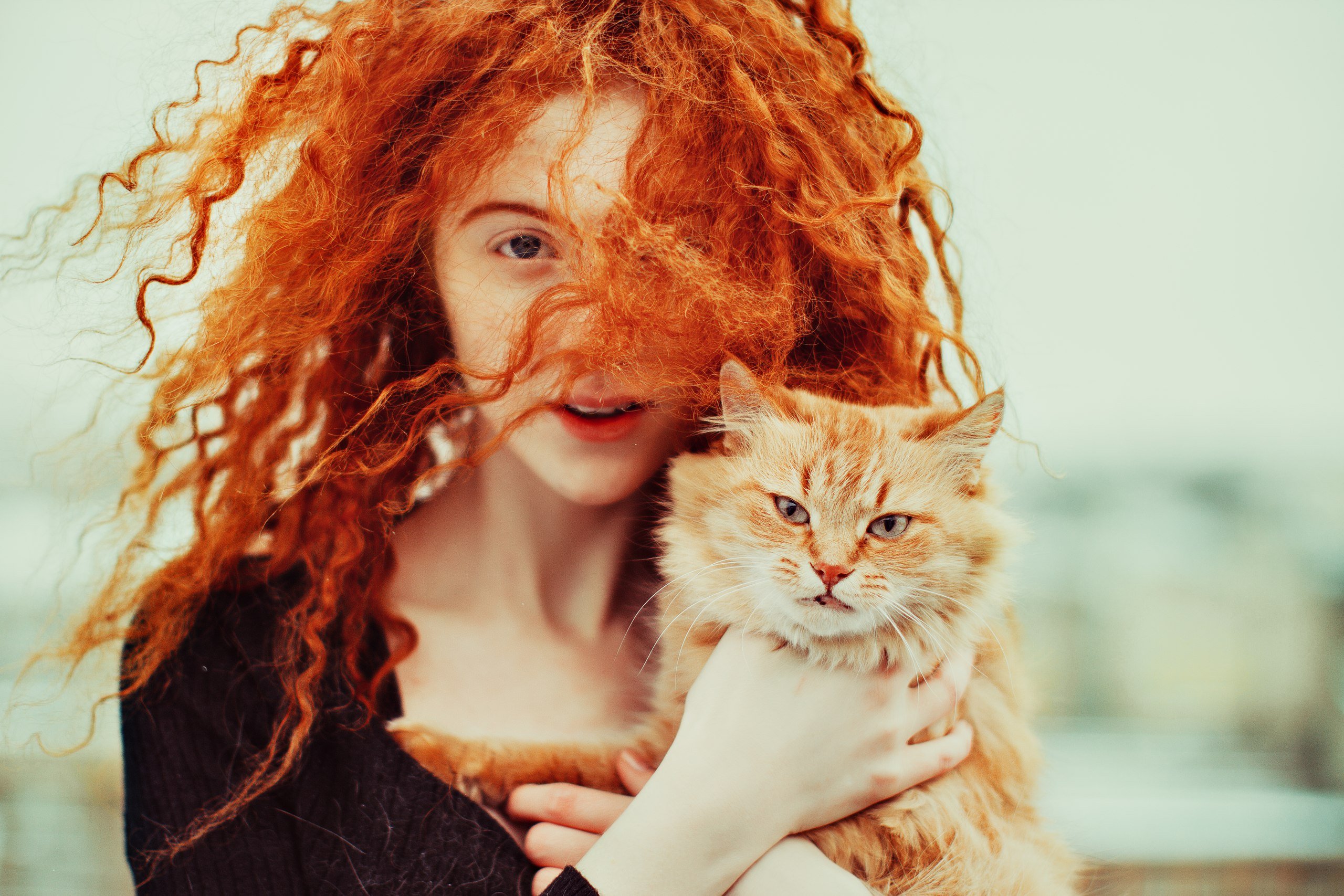 Рыжие картинки. Неволина рыжее счастье. Девушка с рыжим котом. Рыжая девушка с рыжим котом. Девушка с рыжим котенком.