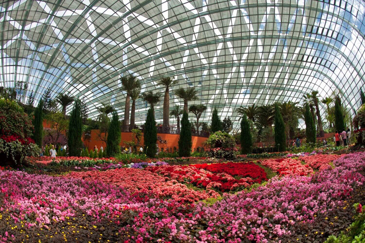 В каком городе есть ботанический сад. Оранжерея субтропики Сингапур. Гарден Бэй Сингапур оранжерея. Оранжерея ботанического сада в Москве. Оранжерея ботанического сада СПБ.