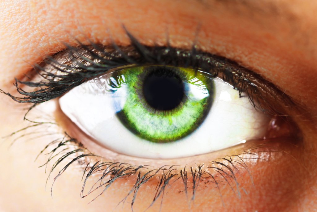 Зеленые глаза на свету. Зелёные глаза. Красивые зеленые глаза. Зеленый цвет глаз. Красивый зеленый цвет глаз.