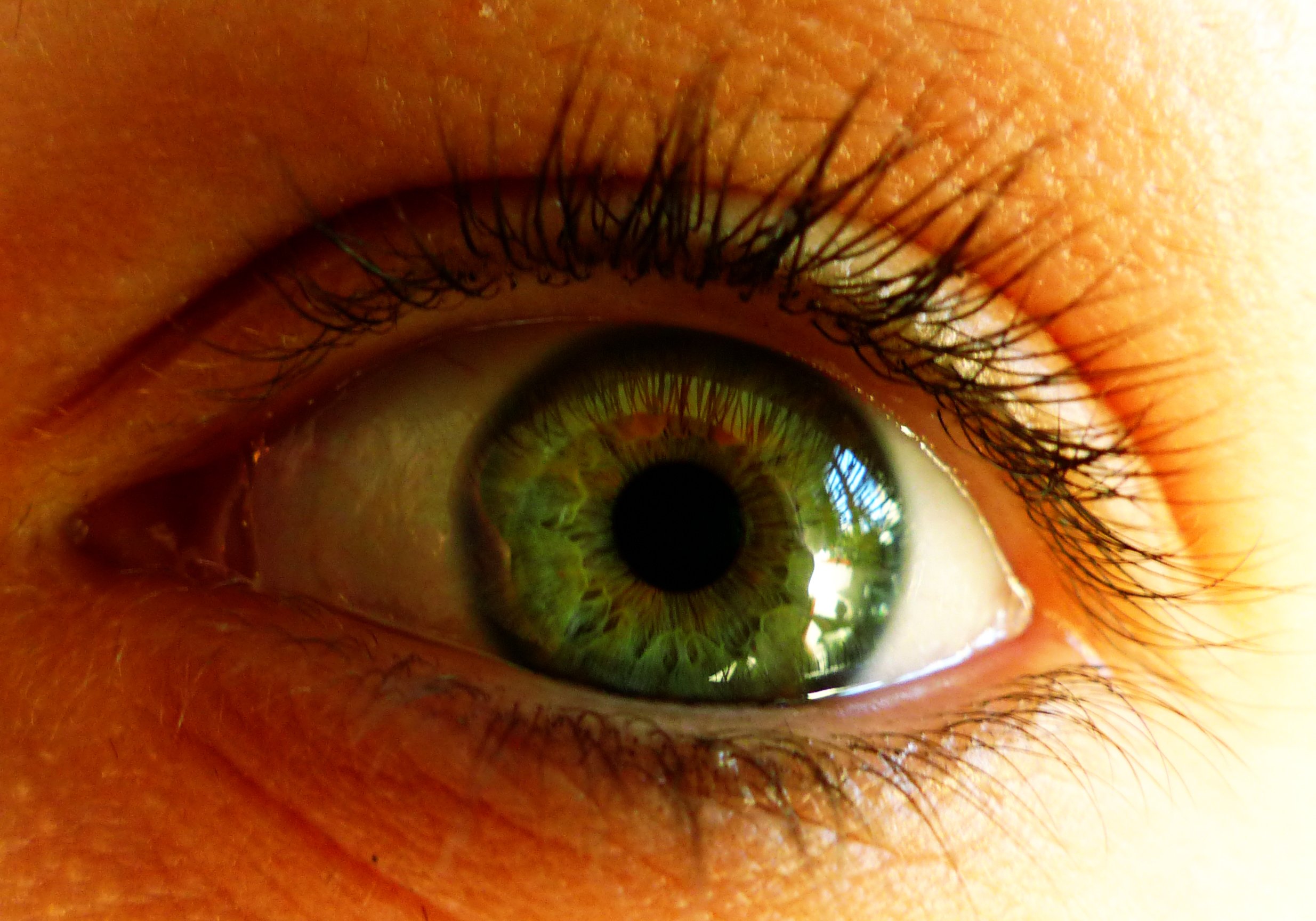 Красивые глаза зеленого цвета