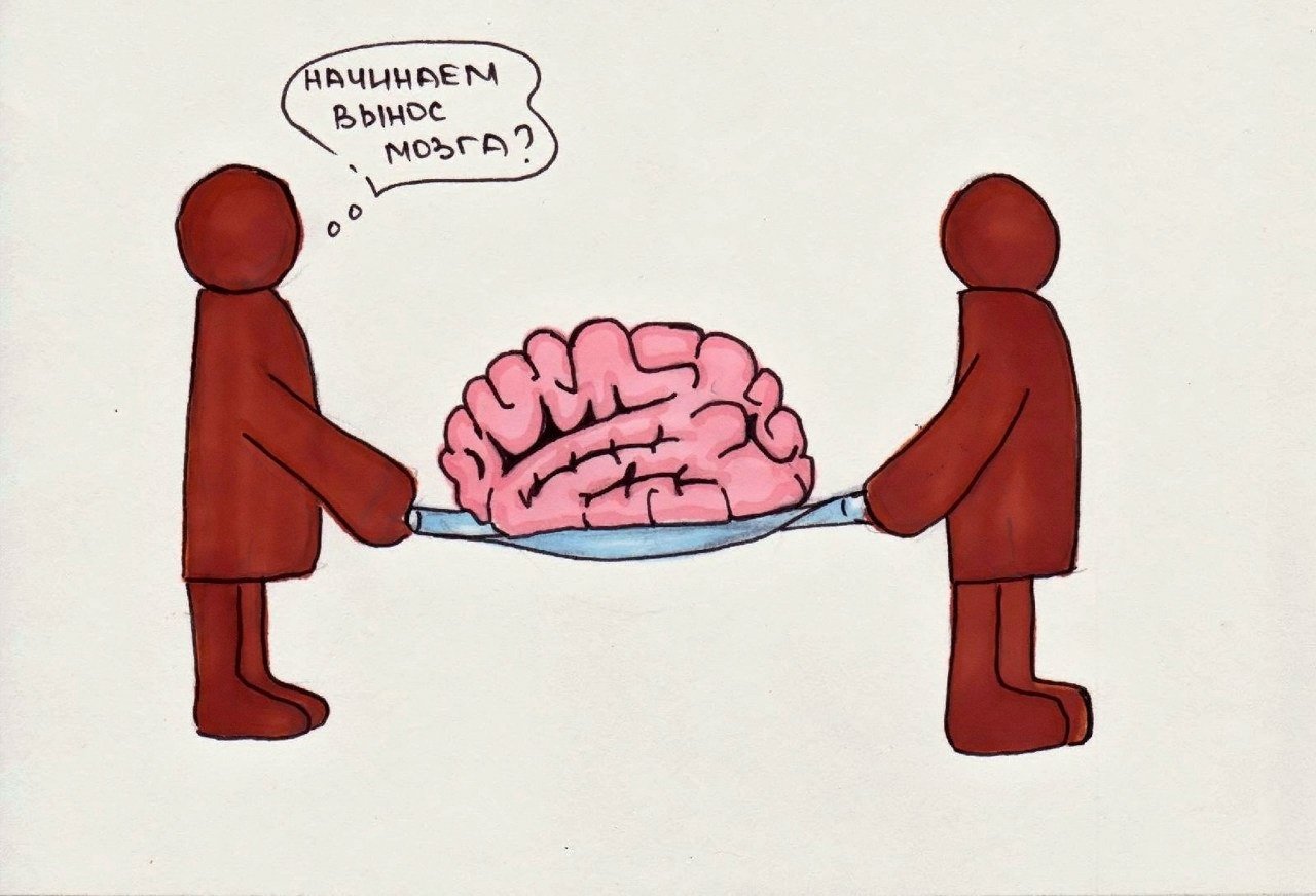Глупые мозги. Мозг карикатура. Фразеологизмы рисунки. Смешные фразеологизмы. Шуточные фразеологизмы.