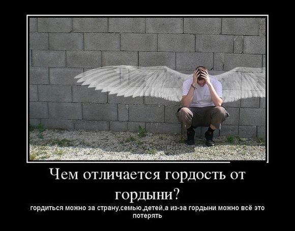 Гордость картинки прикольные