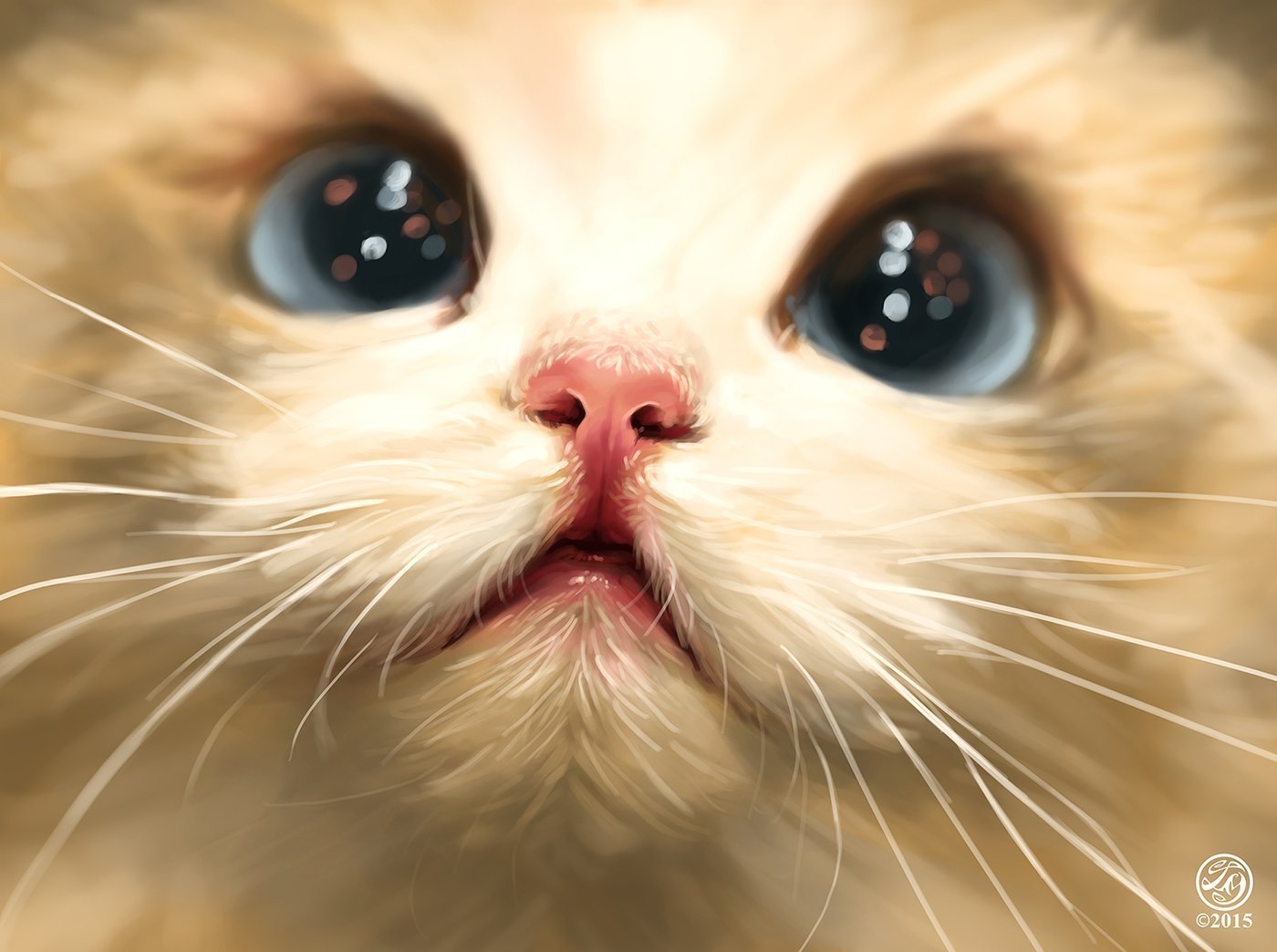 Котик с большими глазами рисунок