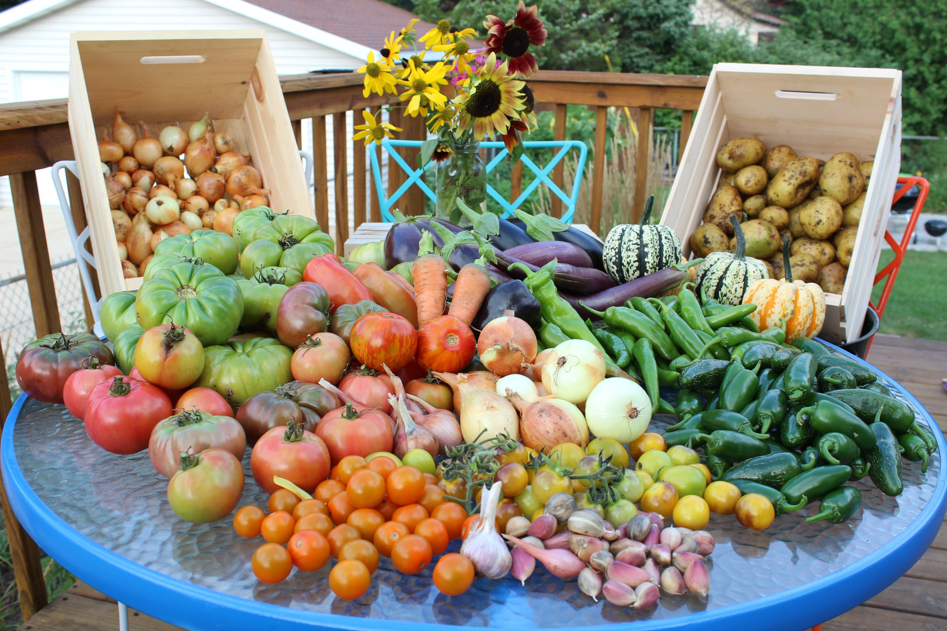 Площадки продажи овощей. Огород урожай. Овощи на огороде. Овощи и фрукты с огорода. Фрукты с огорода.