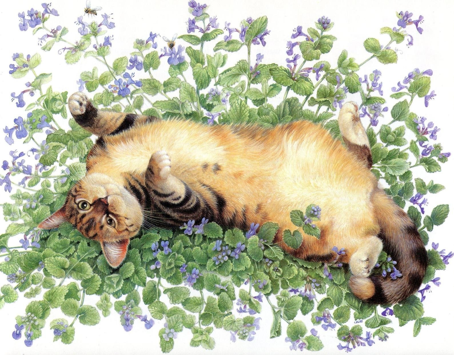 Котенок лежит на цветах
