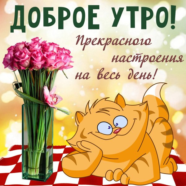 Пожелания с добрым утром прикольные