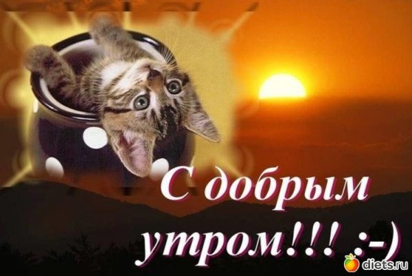 С добрым утром мужчине прикольные