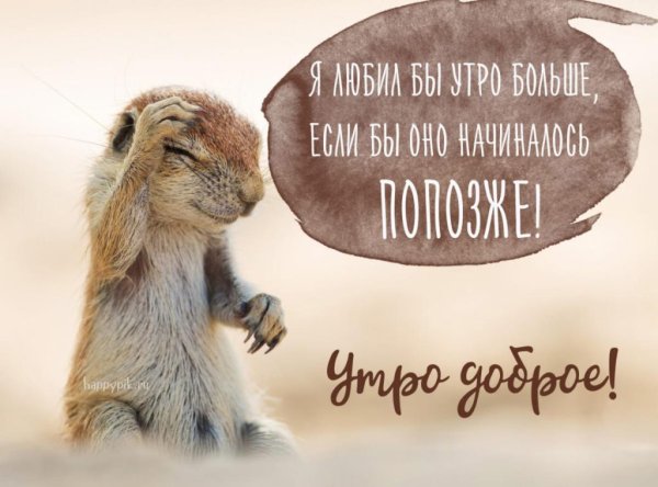 Доброе утро картинки прикольные