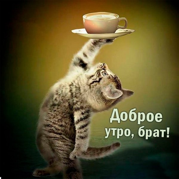 Доброе утро прикол
