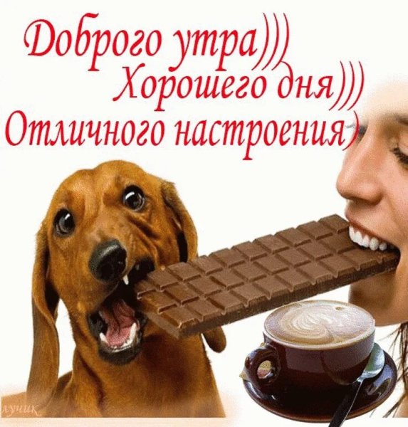 Доброе утро хорошего дня прикольные
