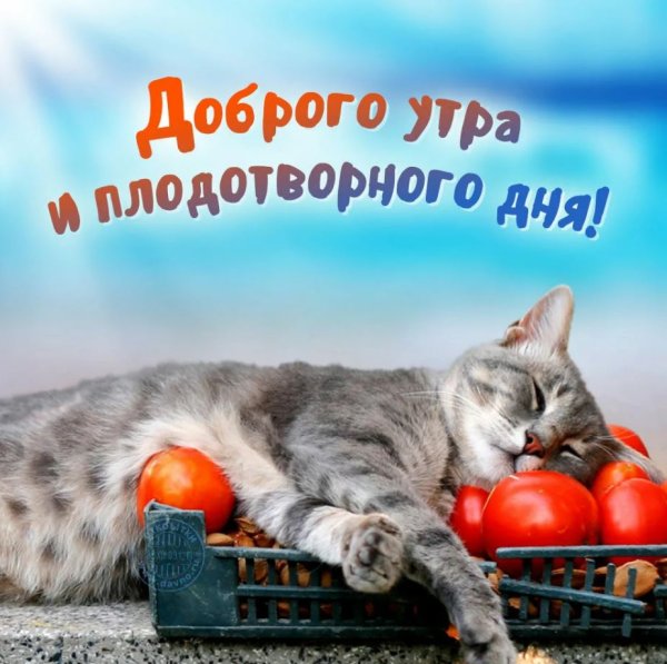 С добрым утром