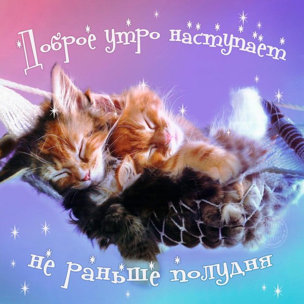 Открытки с добрым утром прикольные