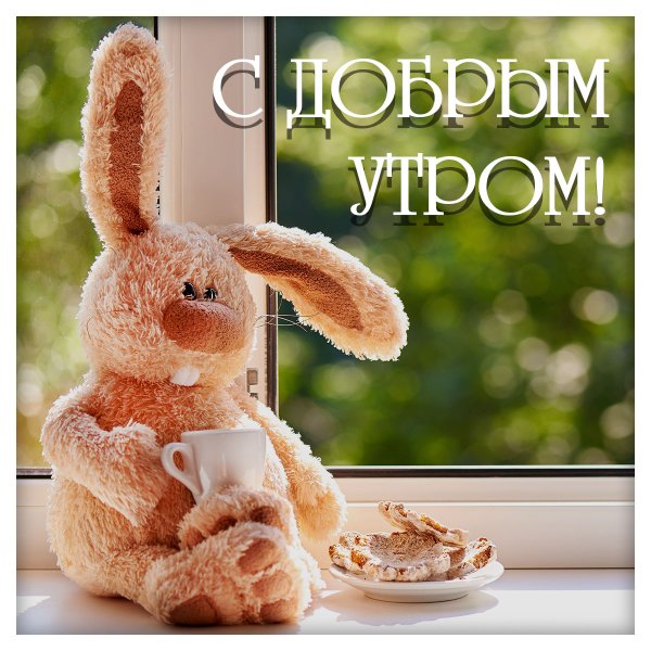 С добрым утром с игрушками
