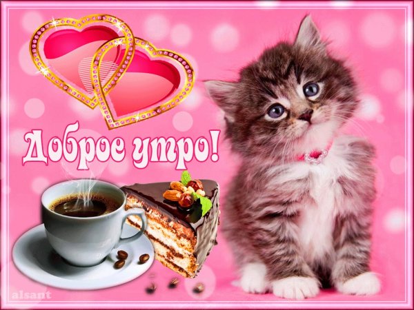 С добрым утром котенок