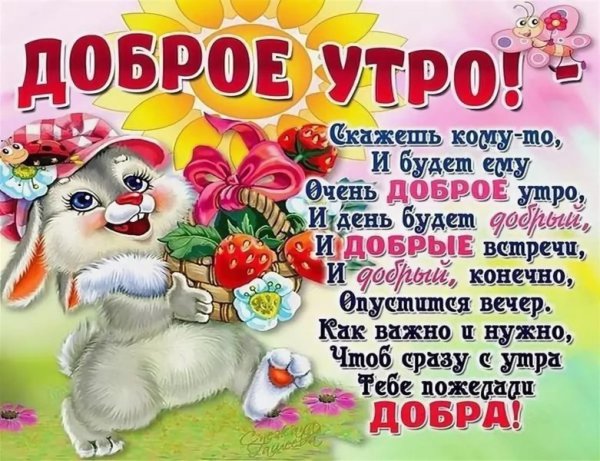 Смешные стишки с добрым утром