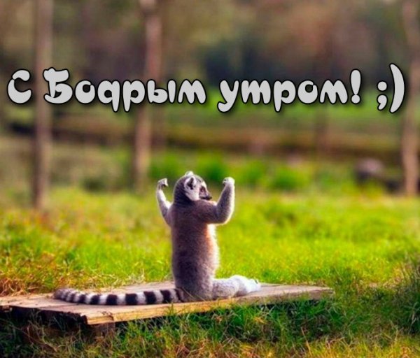 Бодрое утро позитив