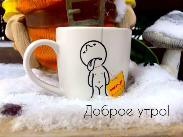 Бодрое зимнее утро прикольные