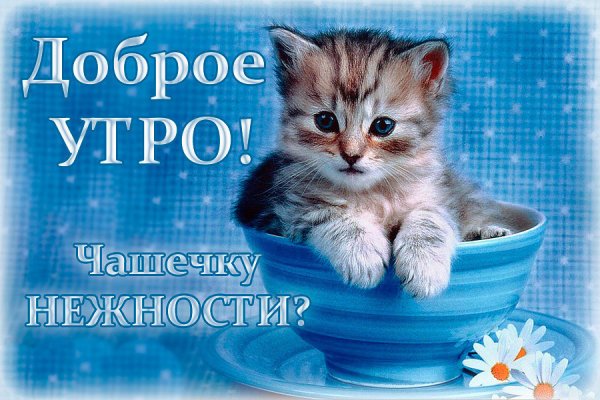 Доброе утречко мой котик