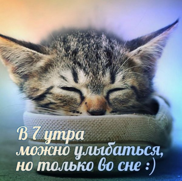 Открытки с добрым утром прикольные